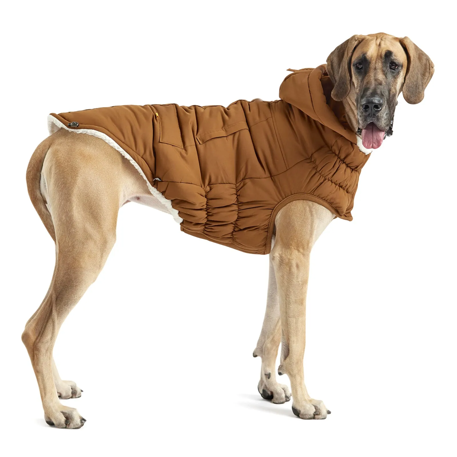 Arctic Parka