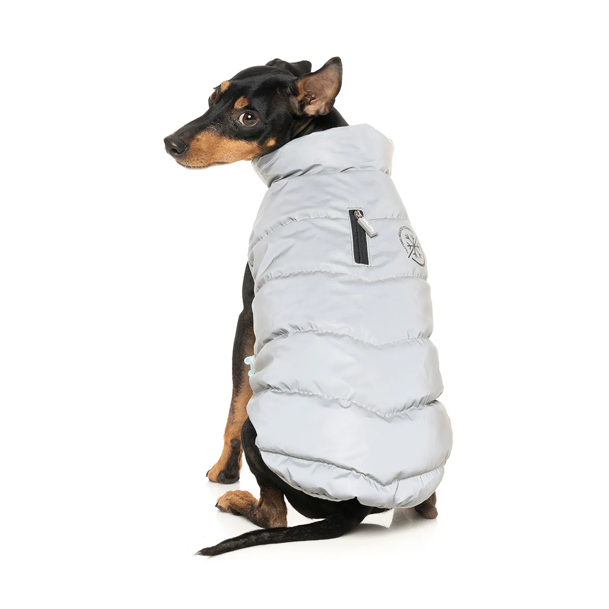 FuzzYard Hakuba Dog Jacket Reflective