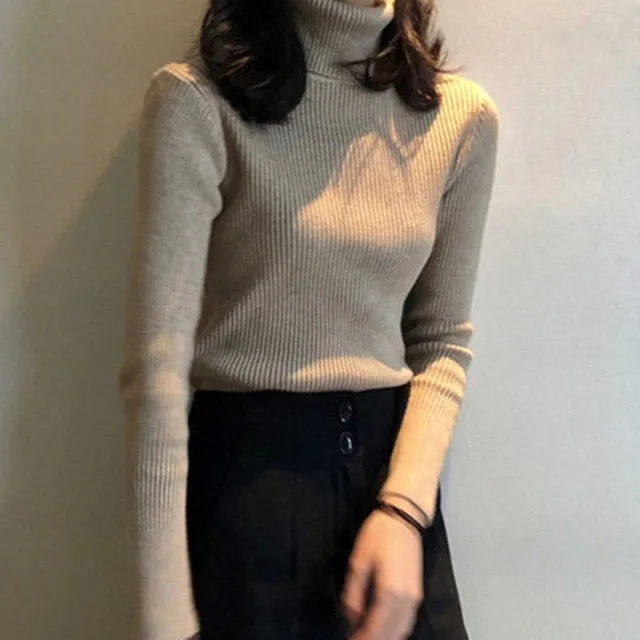 Turtleneck Pullover Ribbed Jumper