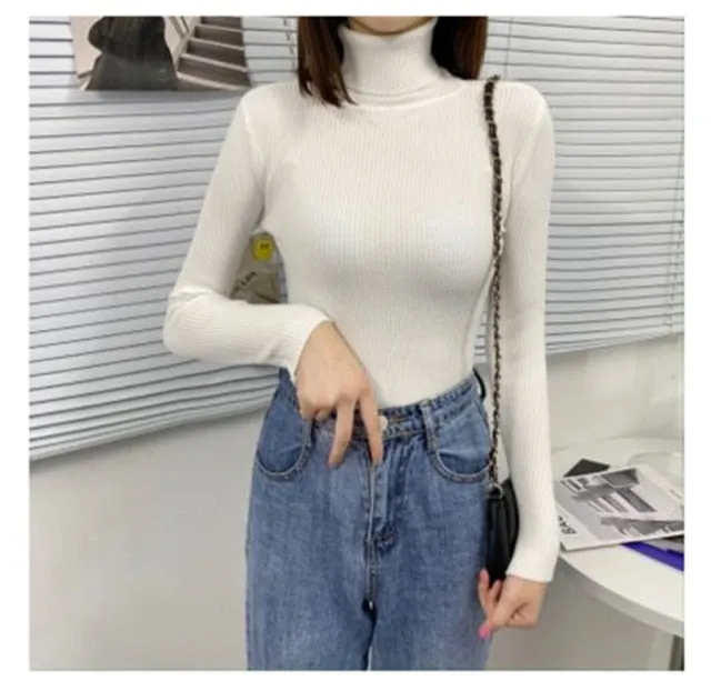 Turtleneck Pullover Ribbed Jumper