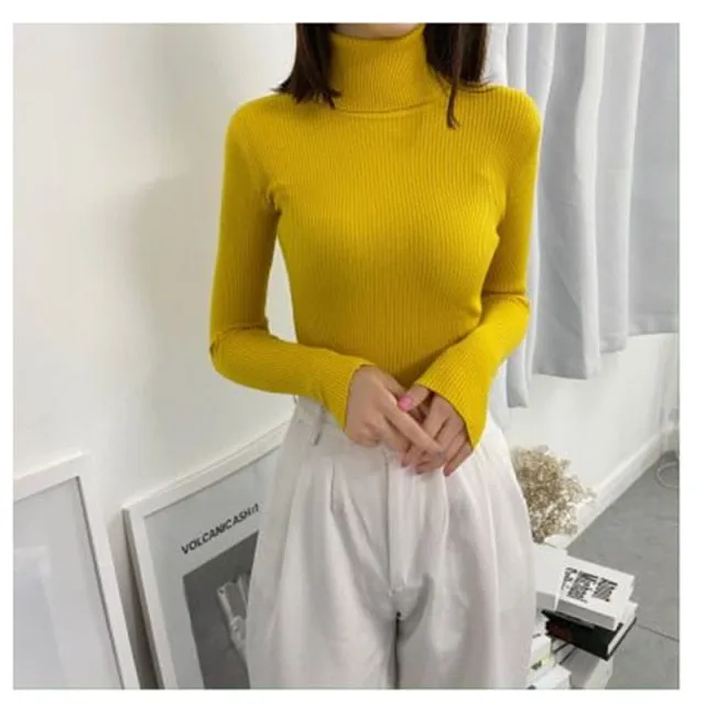 Turtleneck Pullover Ribbed Jumper