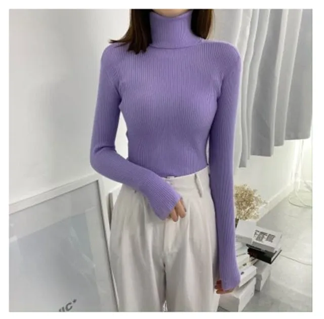 Turtleneck Pullover Ribbed Jumper