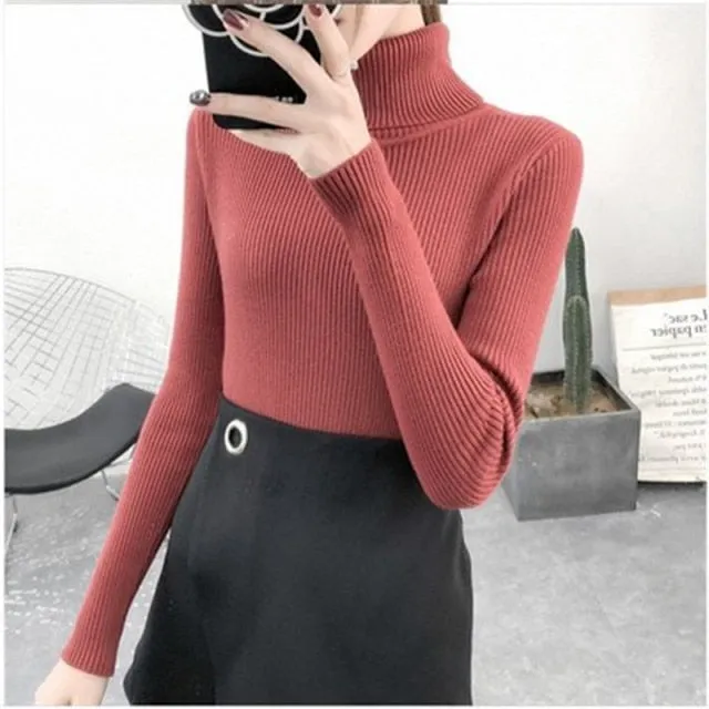 Turtleneck Pullover Ribbed Jumper